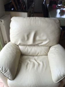 Leather Repair